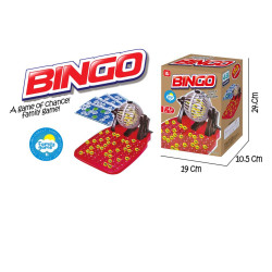 258513 BINGO SET